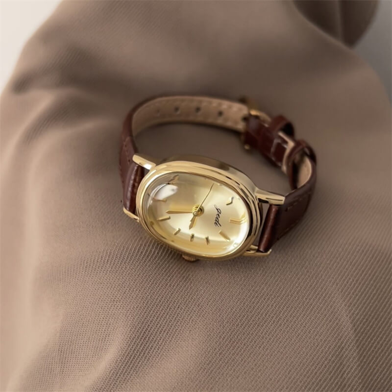 Chic Style Brown/Black Oval Leather Watch for Women